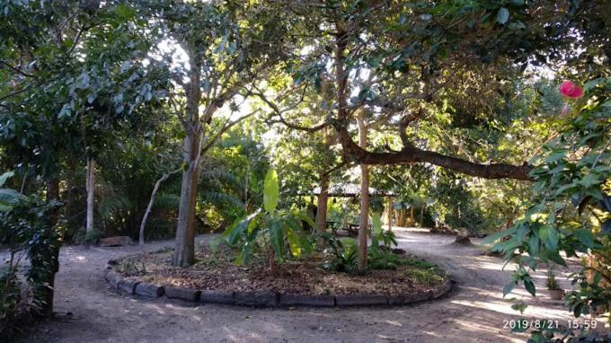 Casa Manga Homestay Mata de Sao Joao Bagian luar foto