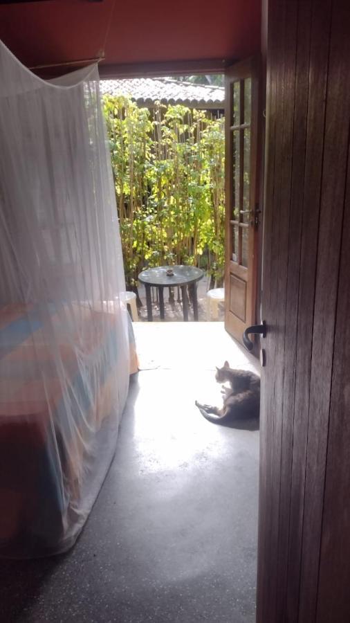 Casa Manga Homestay Mata de Sao Joao Bagian luar foto